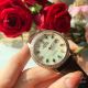 Omega ladymatic Rose Gold Diamond Watches - Women size (5)_th.jpg
